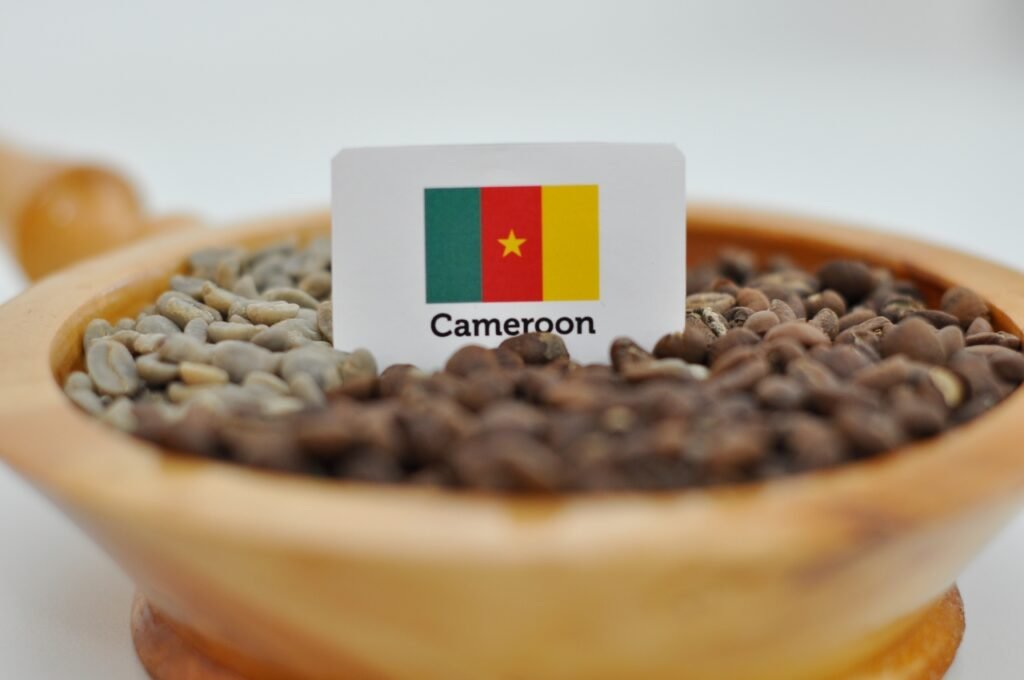 L&rsquo;évolution de la culture du café au Cameroun : une histoire de passion et d&rsquo;innovation